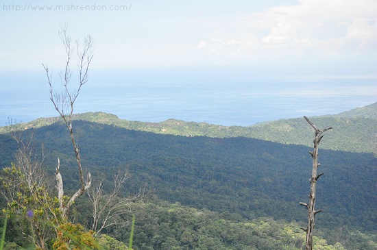 When In Infanta Quezon Jariels Peak Pranjetto Hills Queencakes