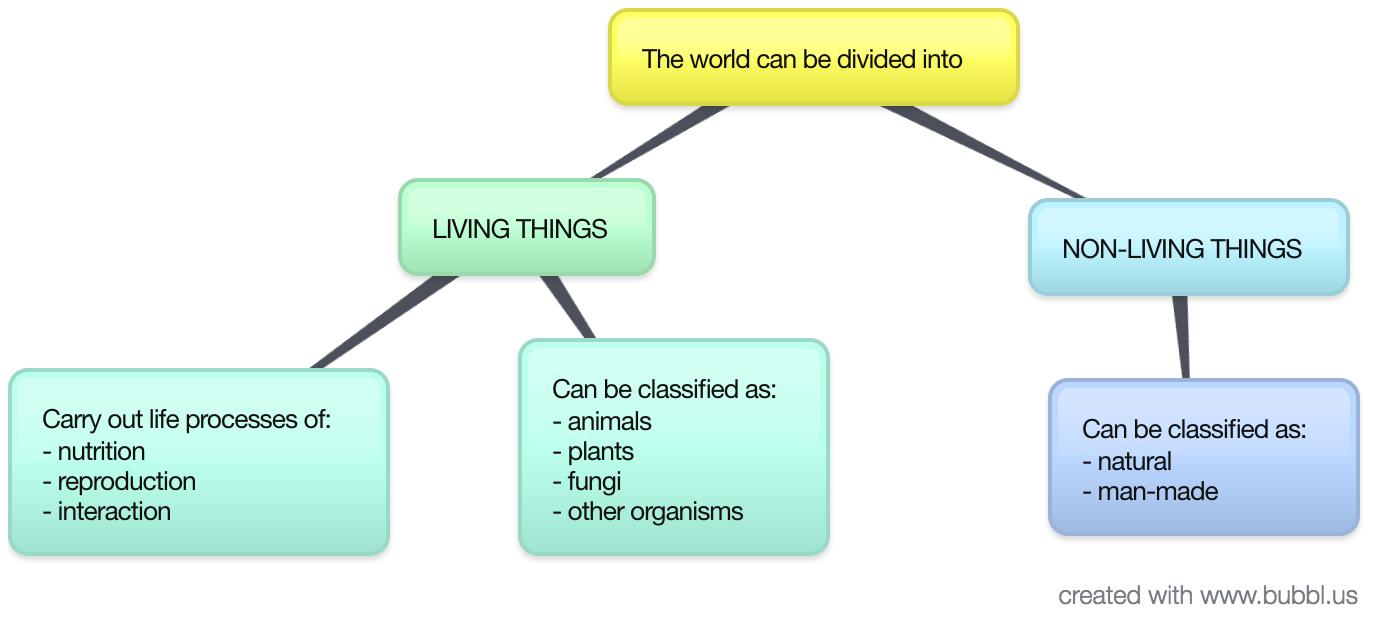 Тигр и евфрат в древности. Types of nouns. Affixation. Can be divided into two. Types of noun английский.
