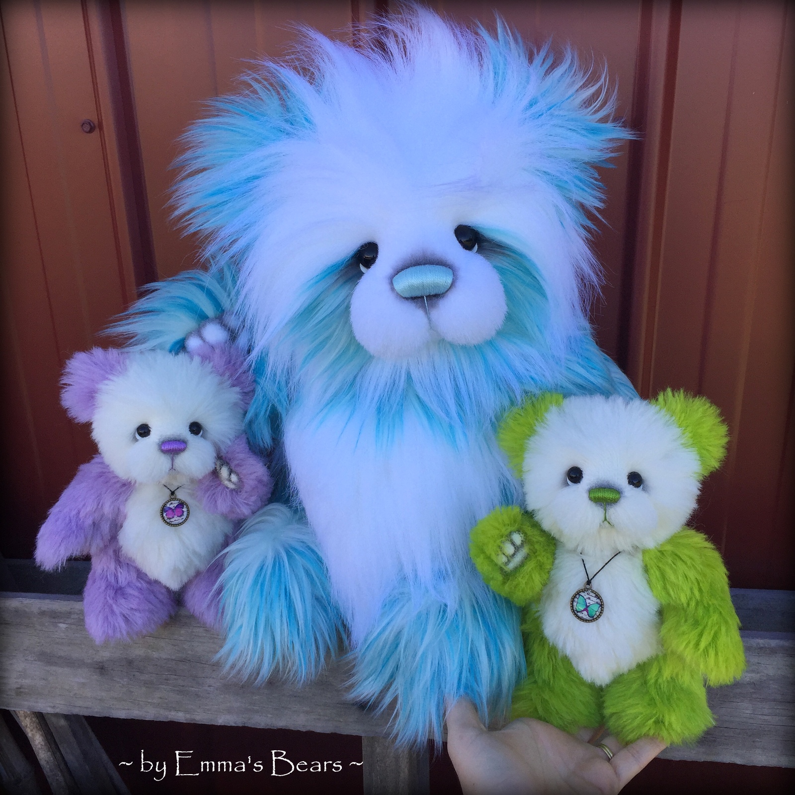 The Inner World of Emma's Bears