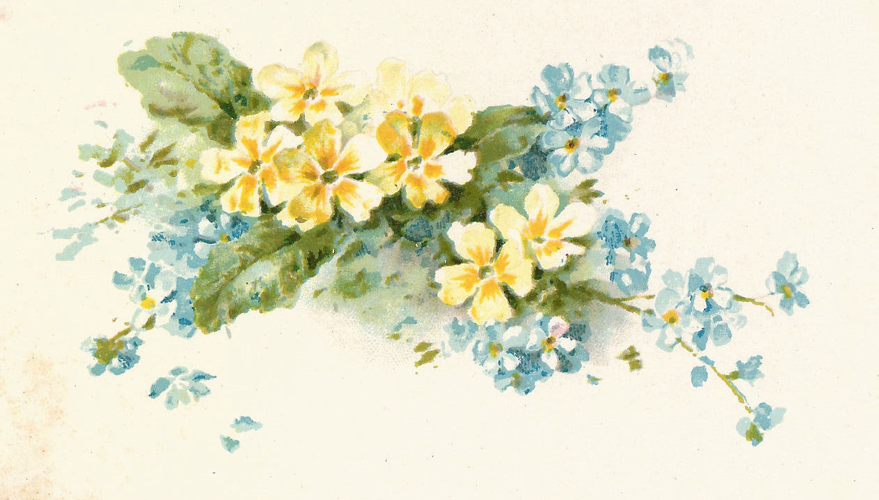free yellow flower clip art - photo #50