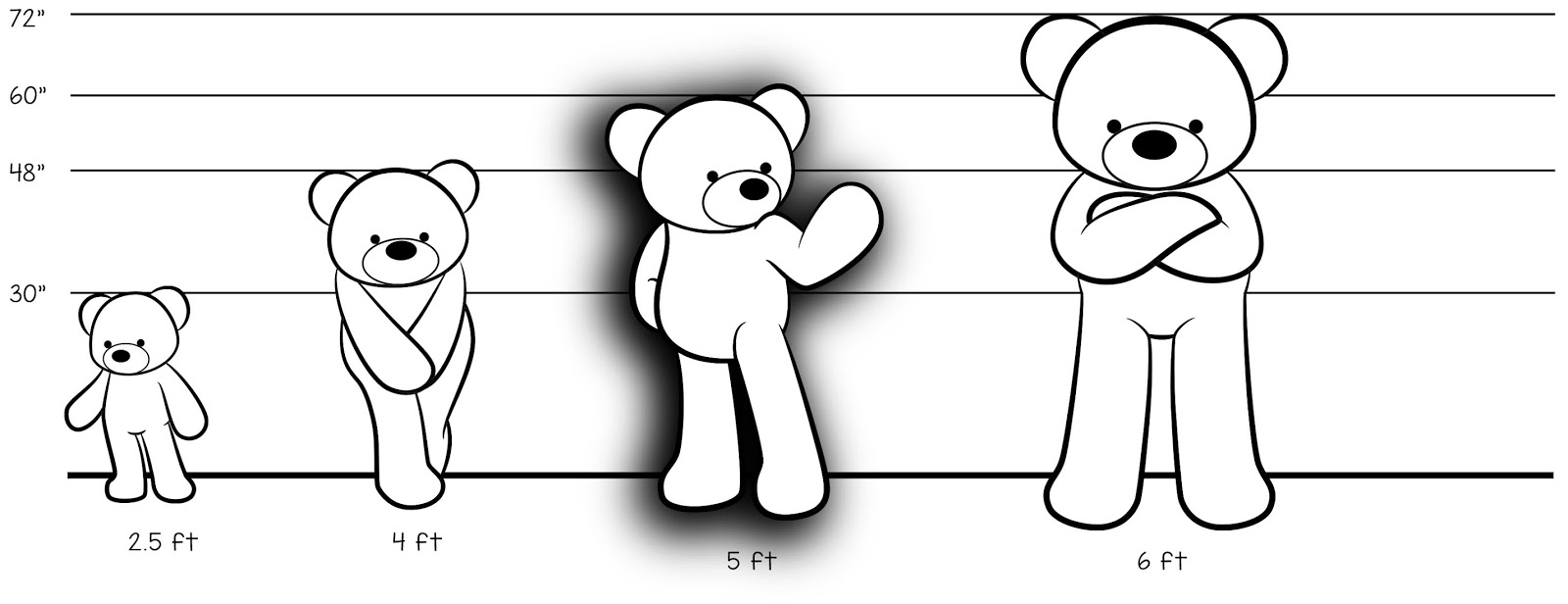 Bear Size Chart