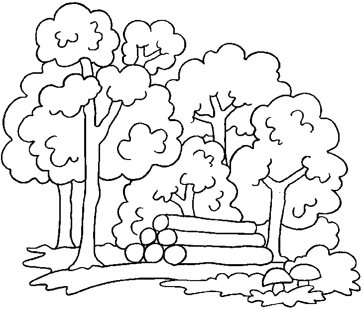 Dibujos de arboles talados - Imagui
