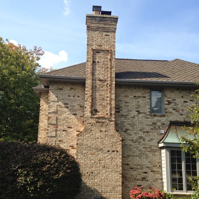 Eaton Rapids Joe Total Masonry Maintenance (small business report)