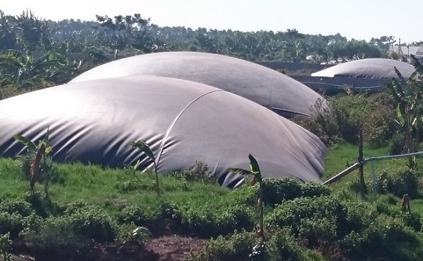 Sự tất yếu của hầm biogas HDPE với kinh tế chăn nuôi Ham-biogas-hdpe-lien-tiep-310816