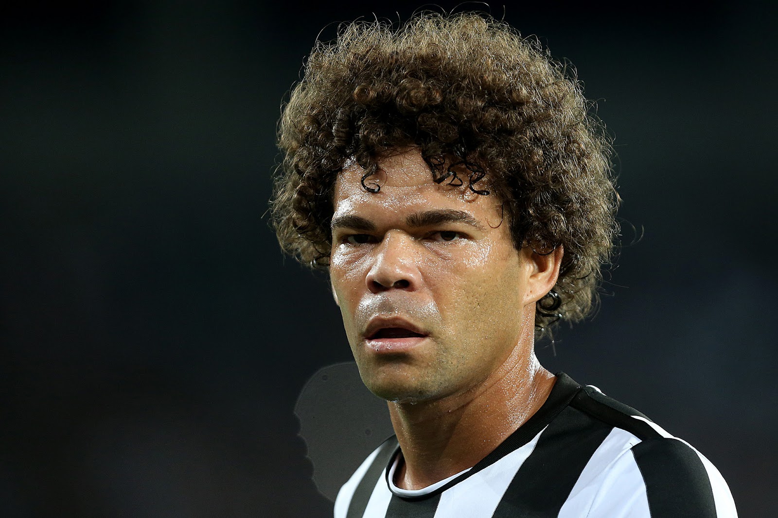 O Botafogo Parece Saber o Seu Caminho Blog Torcedor do Botafogo