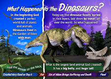 What Happened to the Dinosaurs?