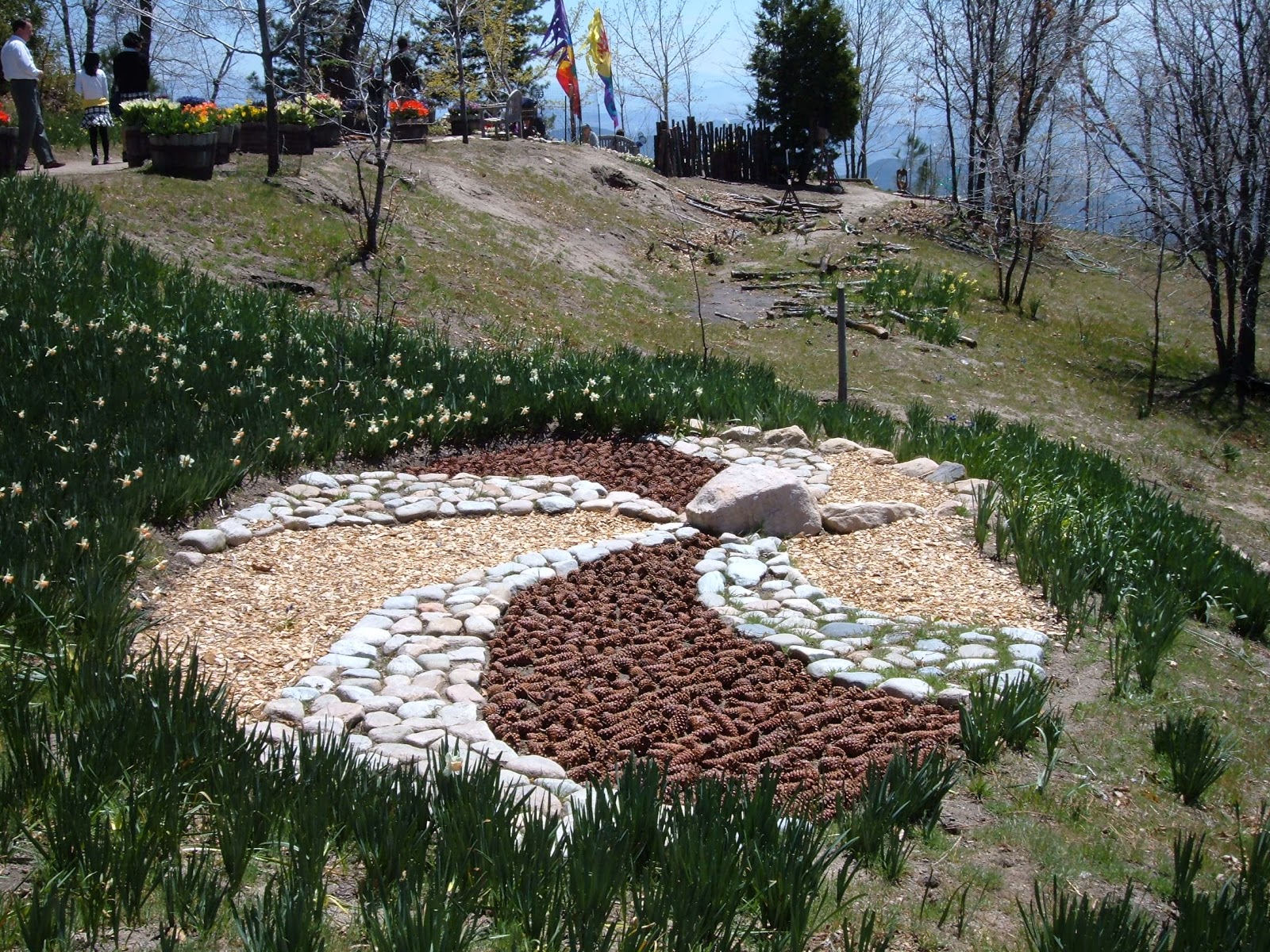 Lake Arrowhead Homes For Sale & So Much More! The Daffodil Gardens