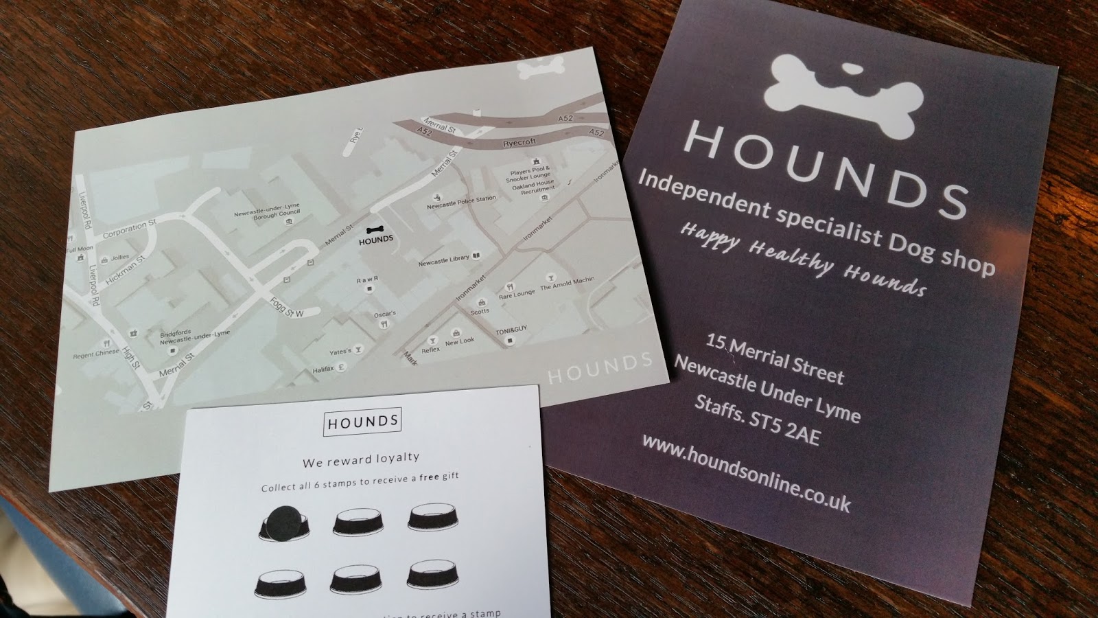 Hounds NewcastleUnderLyme Staffordshire Paws across Britain