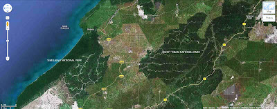 Birdwatching In Miri, Sarawak: Where is Bukit Tiban National Park?