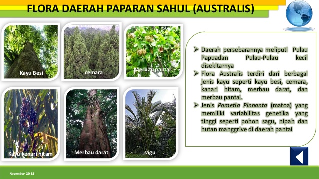 400+ Gambar Flora Indonesia Bagian Barat Dan Timur HD Terbaru