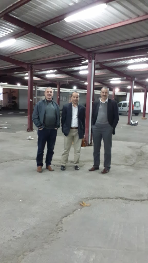 arıcılık, ana arı, karniol