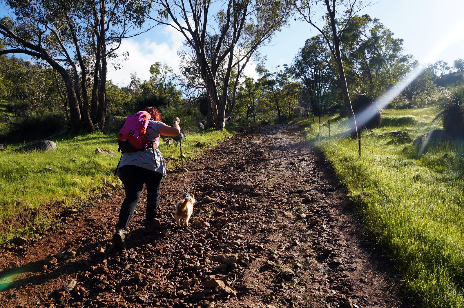 Bells Rapids Walk Trail (Bells Rapids Reserve) The Long Way's Better