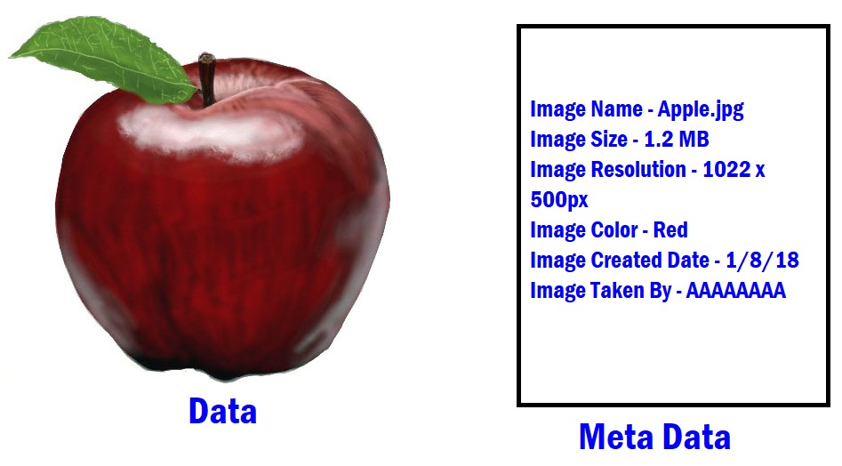What is Metadata