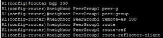 BGP peer-groups