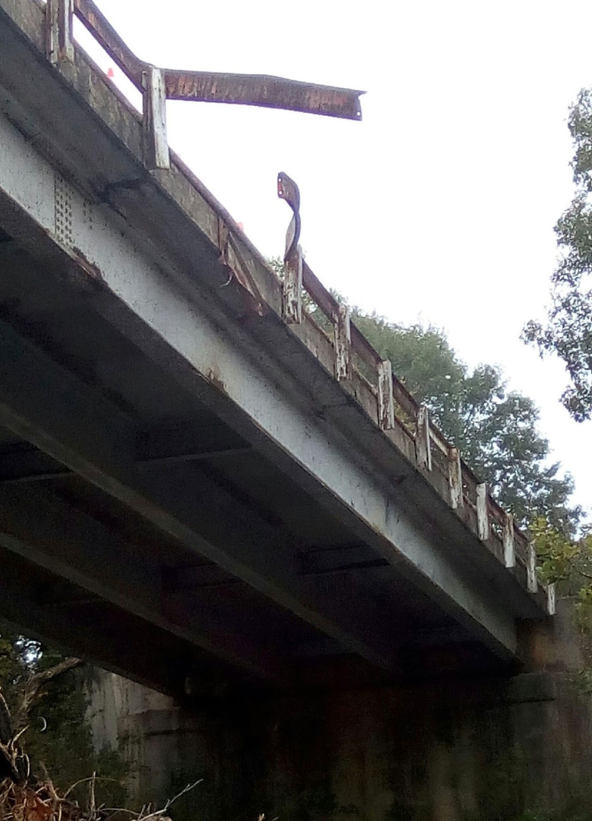 MEC&F Expert Engineers UNSAFE SPEED ON A WET ROAD KILLS 5