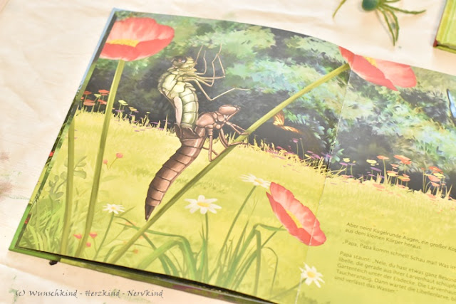 Montessori-inspirierte Kinder-Sachbücher über das Thema Insekten. Die Faszination Insekten in Kinderbüchern. Alles über Marienkäfer, Libellen, Stechmücken, Würmer, Ameisen und viele mehr.