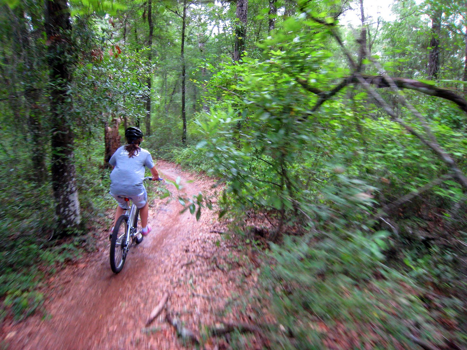 Biking with Roy Biking Pine Trail at Santos mountain bike trails, Ocala.