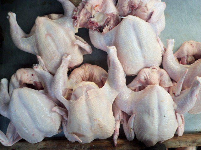  Tips Berjualan Ayam Potong