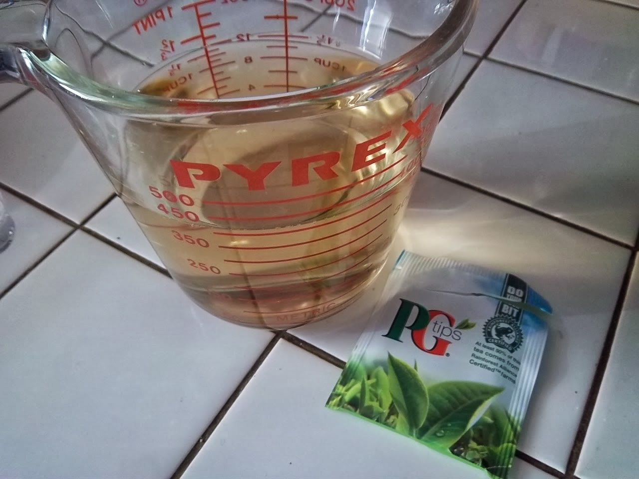 Pecan Corner It's Time! Here's One Way To Start Tomato Seeds