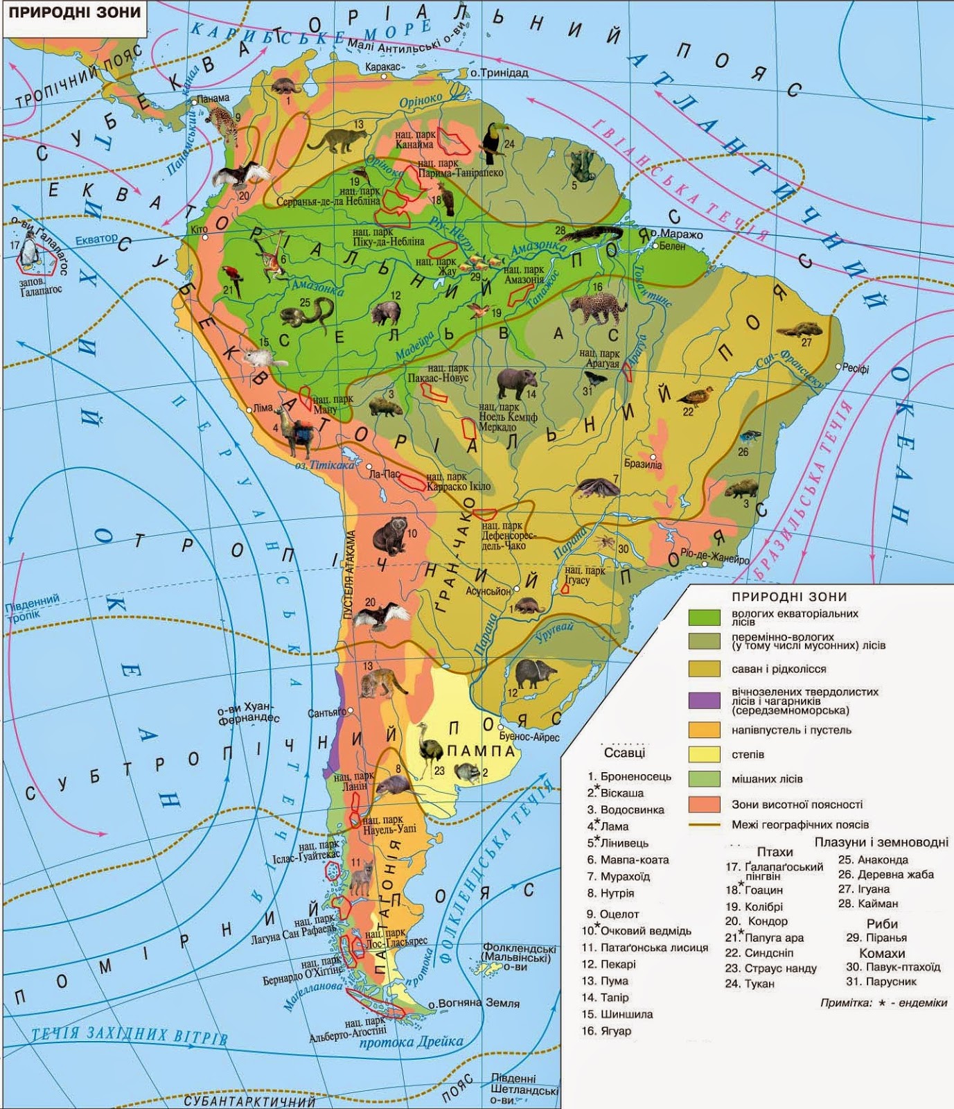 Выберите природные зоны южной америки