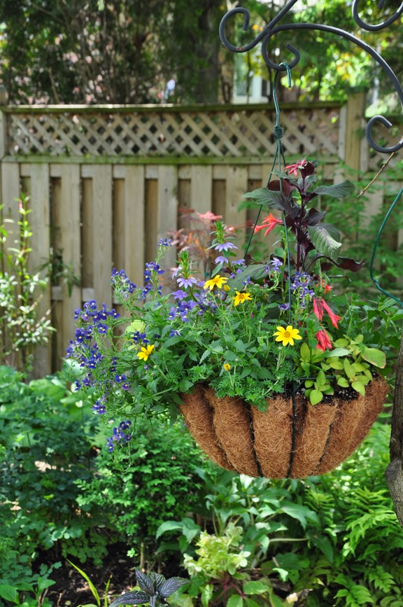 Three Dogs in a Garden 10 Great Ways to Dress up a Wall or Fence