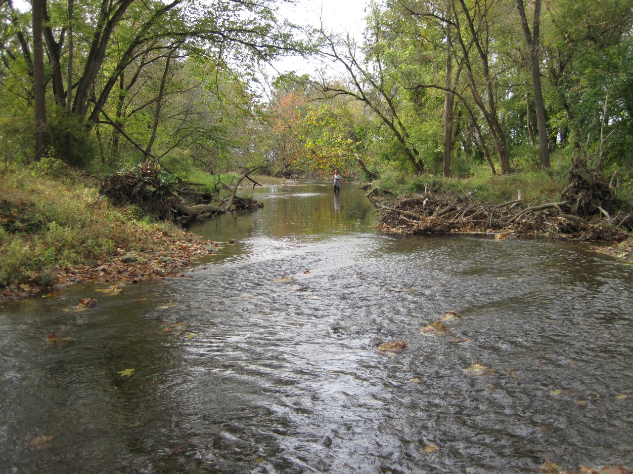 Apple Creek Trout Fishing in Wooster Ohio