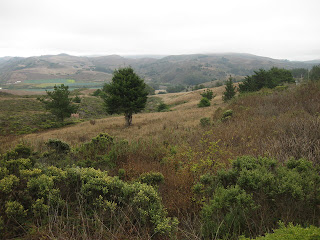 View from Stage Road near Highway 1, San Gregorio, California