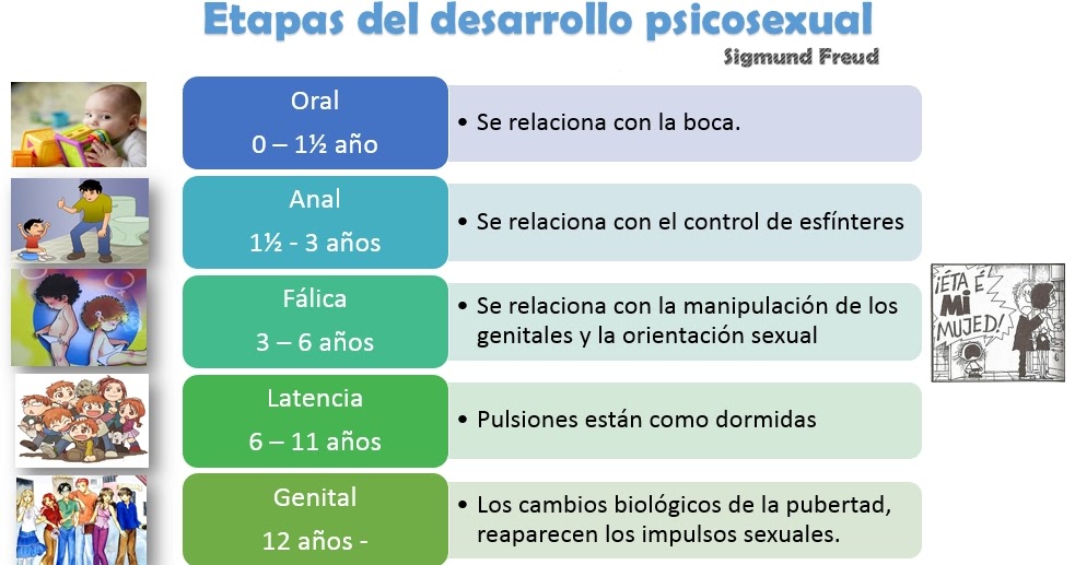 Esquemas Diagramas Gr Ficos Y Mapas Conceptuales Esquema Del Desarrollo Psicosexual S Freud