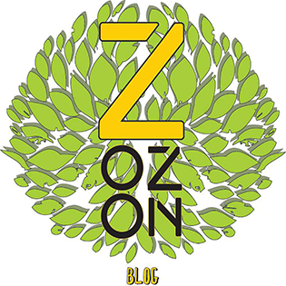                        ZOZON blog                                    