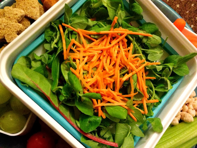 Bento box rainbow salad