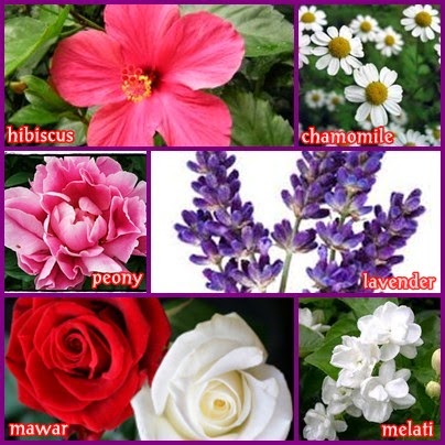 6 Jenis Bunga Wangi Untuk Kesehatan Tubuh