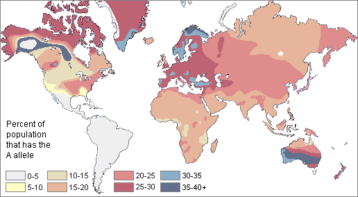 Distribution of the O type blood in native populations of the world