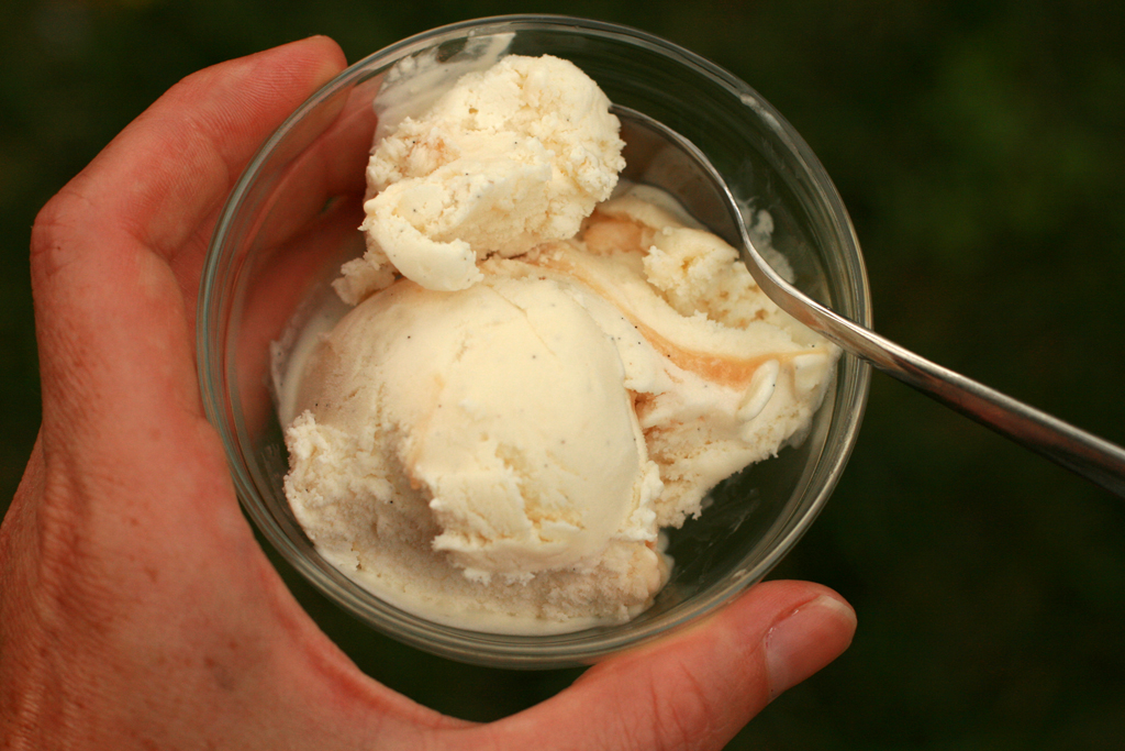 Carotte & Lychee: Recette : Crème glacée vanille de base