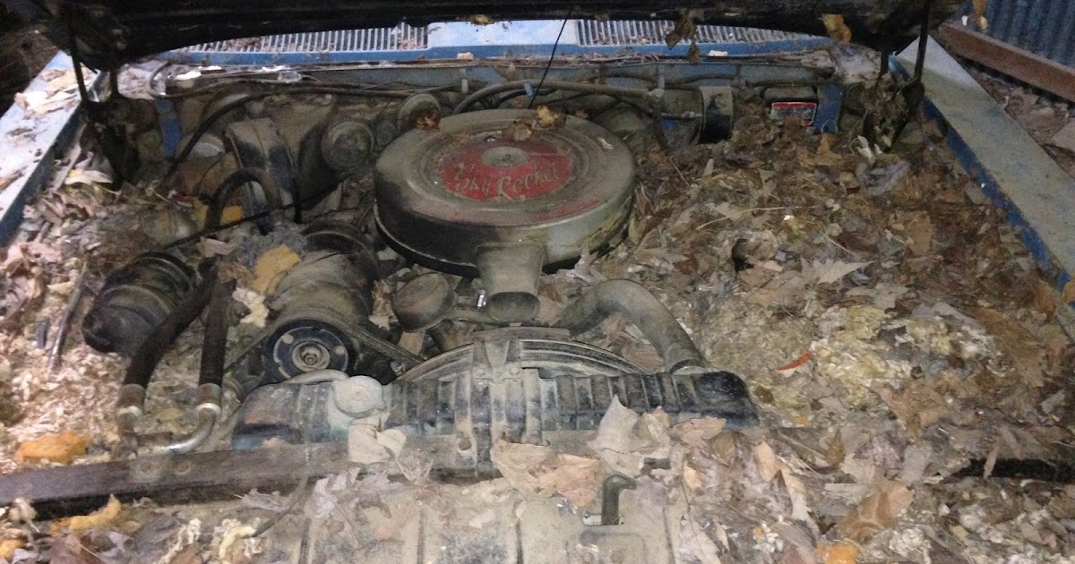 Seattle Pest Control News: Automobiles get Trashed by Rodents in