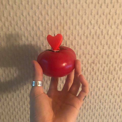 토마토를 싫어하는 멤버에게 토마토 케이크를 선물해준 더보이즈ㅋㅋㅋㅋㅋ | 인스티즈