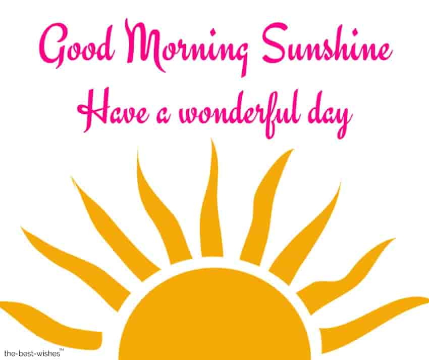 good-morning-sunshine-have-a-wonderful-day good morning sunshine have a wonderful day
