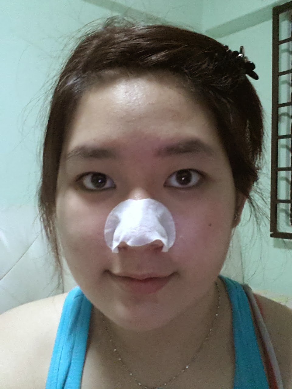 Joleen's Blog Review on Green Tea Nose Pack by Etude House
