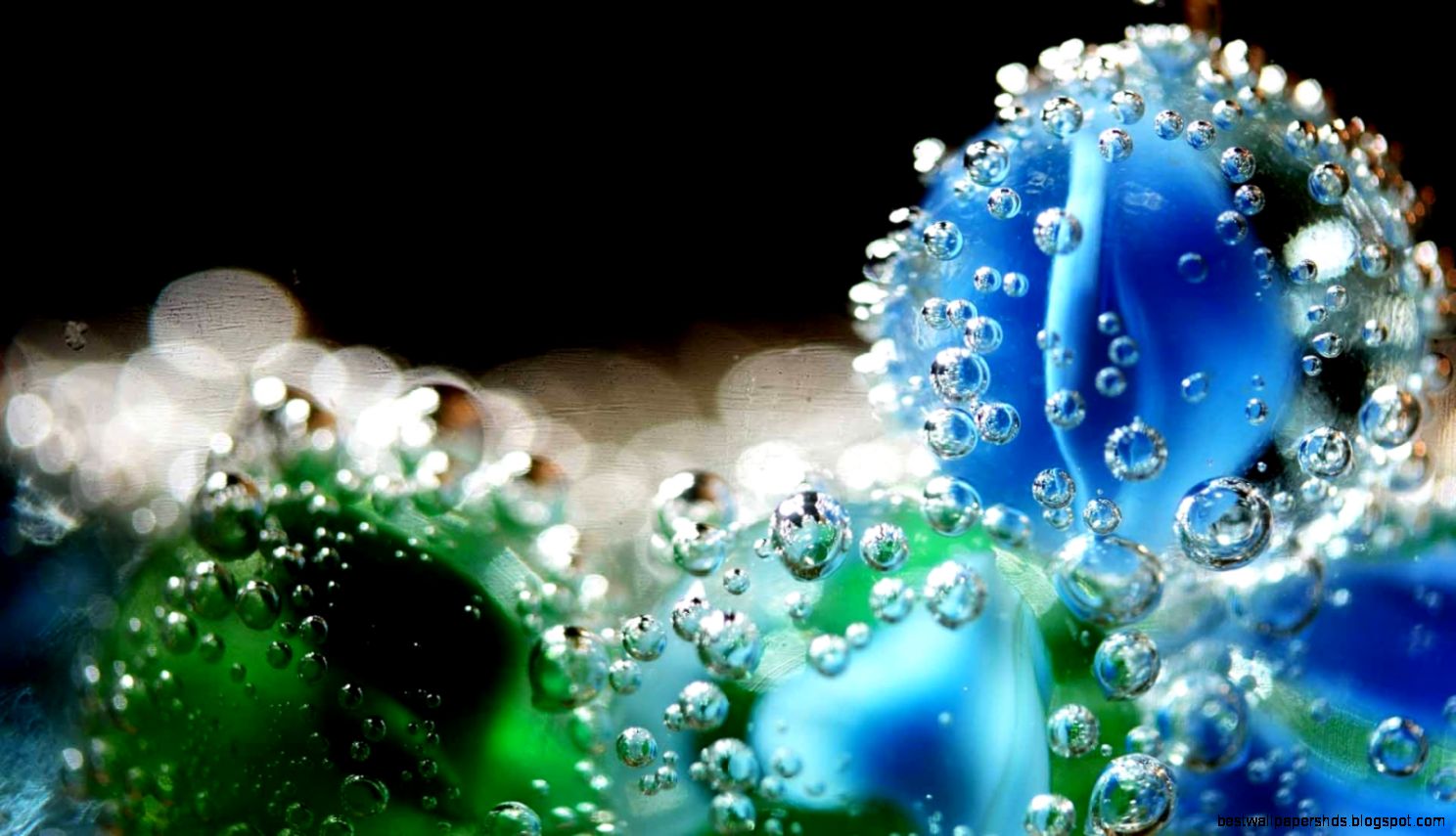 Francis Le Guen et les fractales » 123ocean