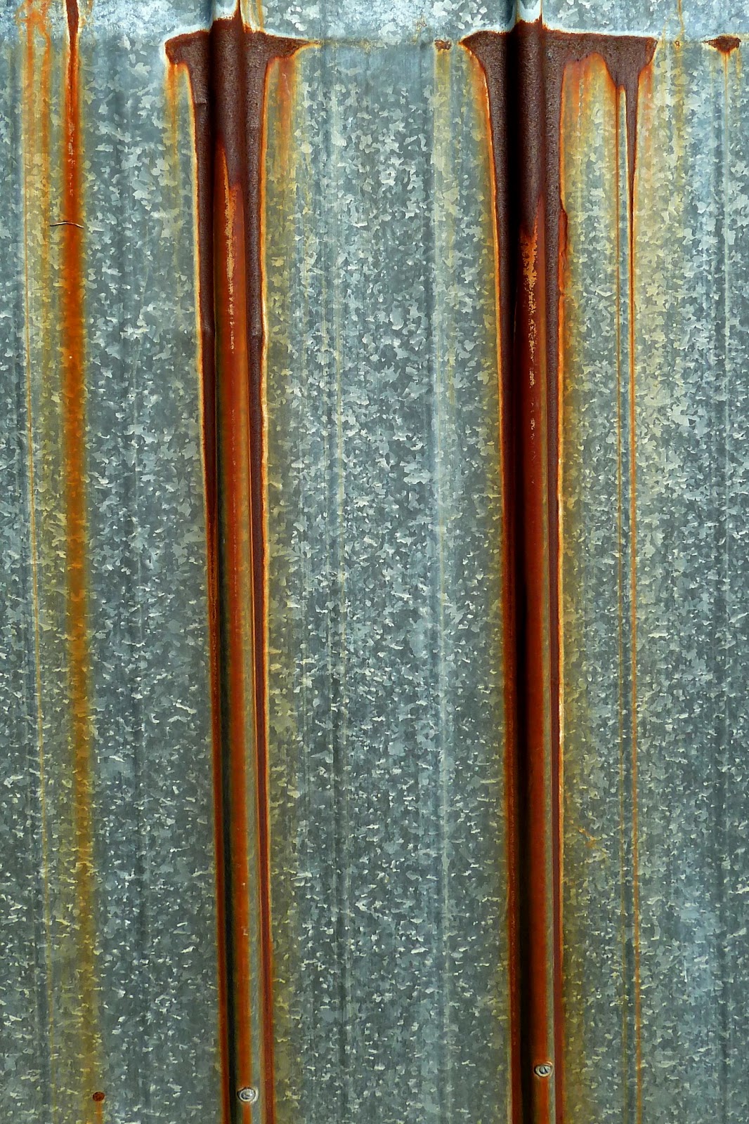 Anachropsy photography swords of rust