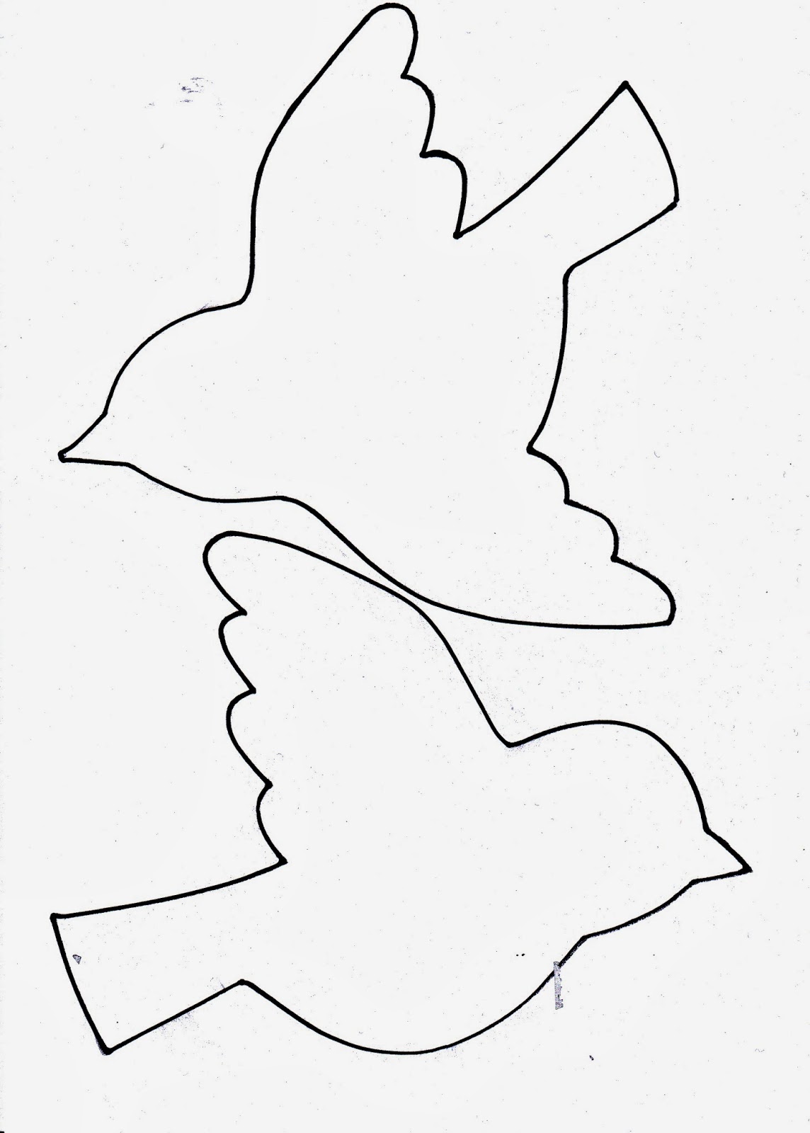 Anna idean kiertää!: Muuttolintuja