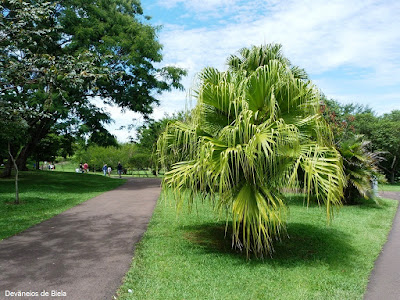 Jardim Botânico de Curitiba #MoradorTurista