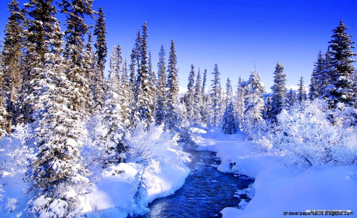 Free Wallpaper   Free Nature wallpaper   Winter Wonderland 10