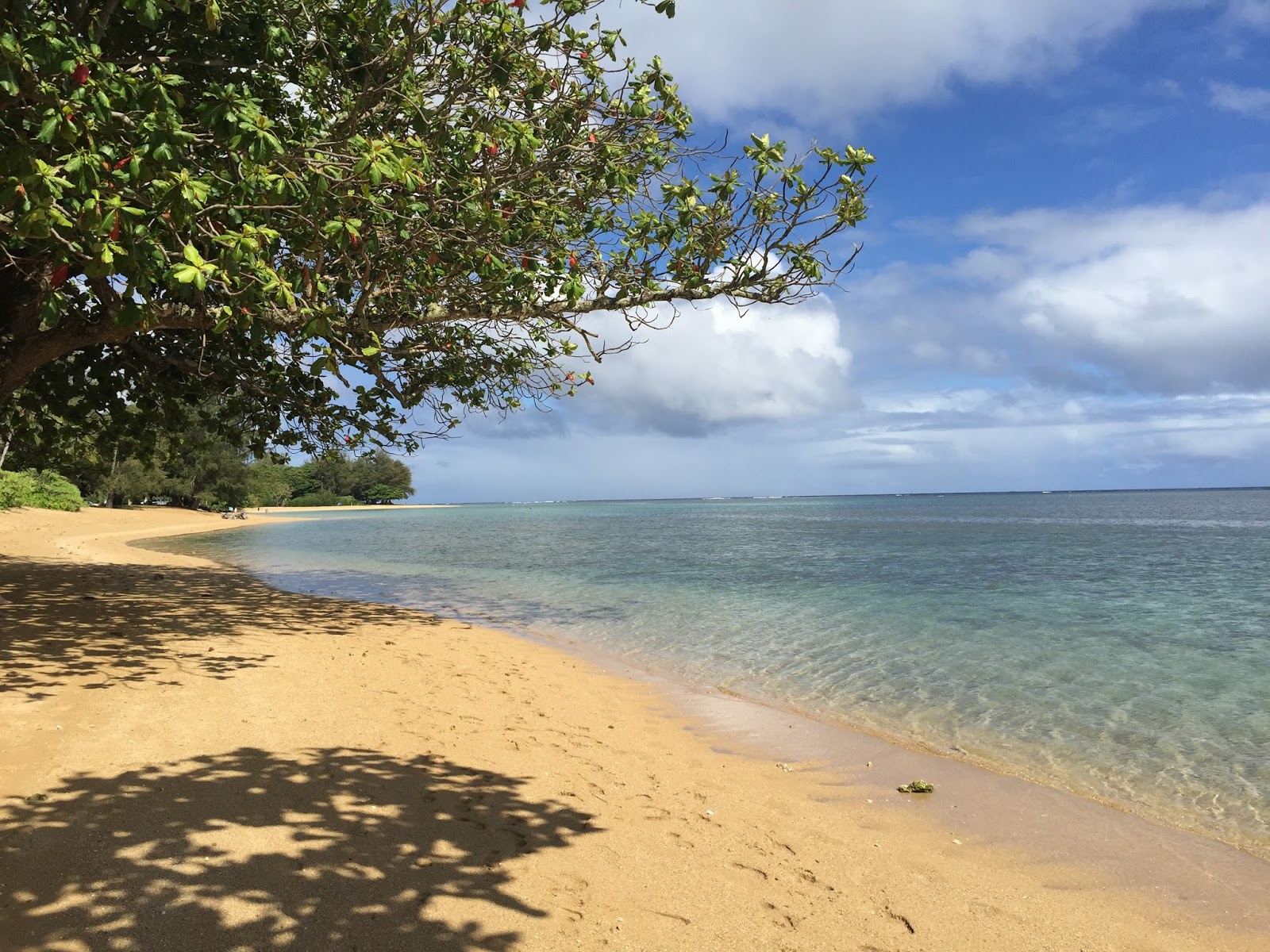 GREAT EATS HAWAII ANINI BEACH