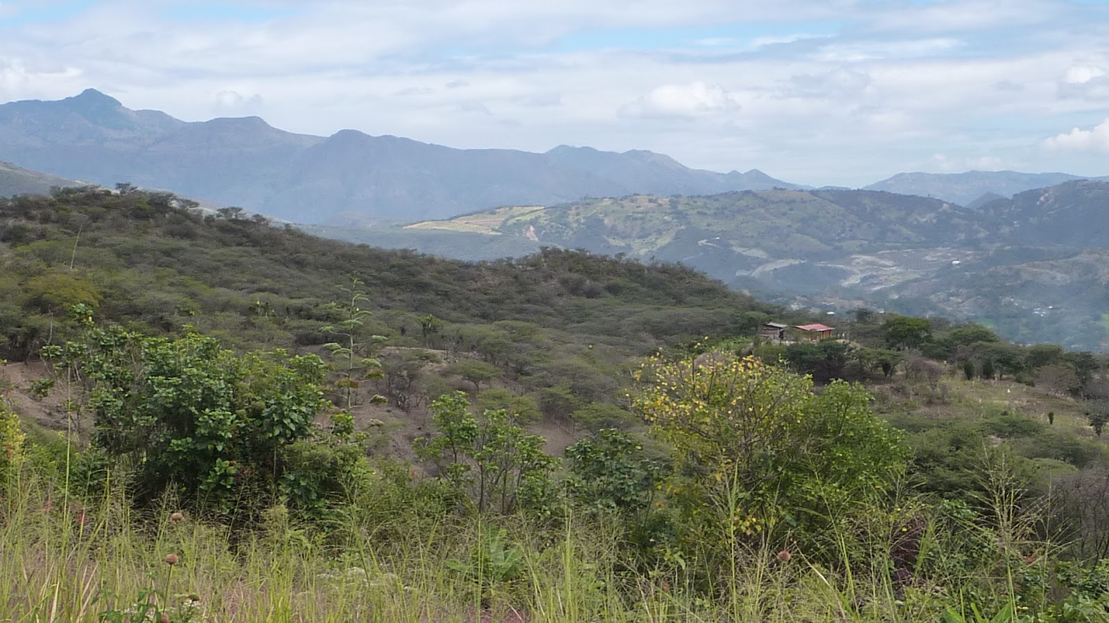 Vilcabamba/Malacatos home for Sale Malacatos Ecuador Custom Home for