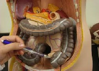 Image Result For Cara Mengatasi Maag Ketika Hamil Image Result For Cara Mengatasi Maag Ketika Hamil