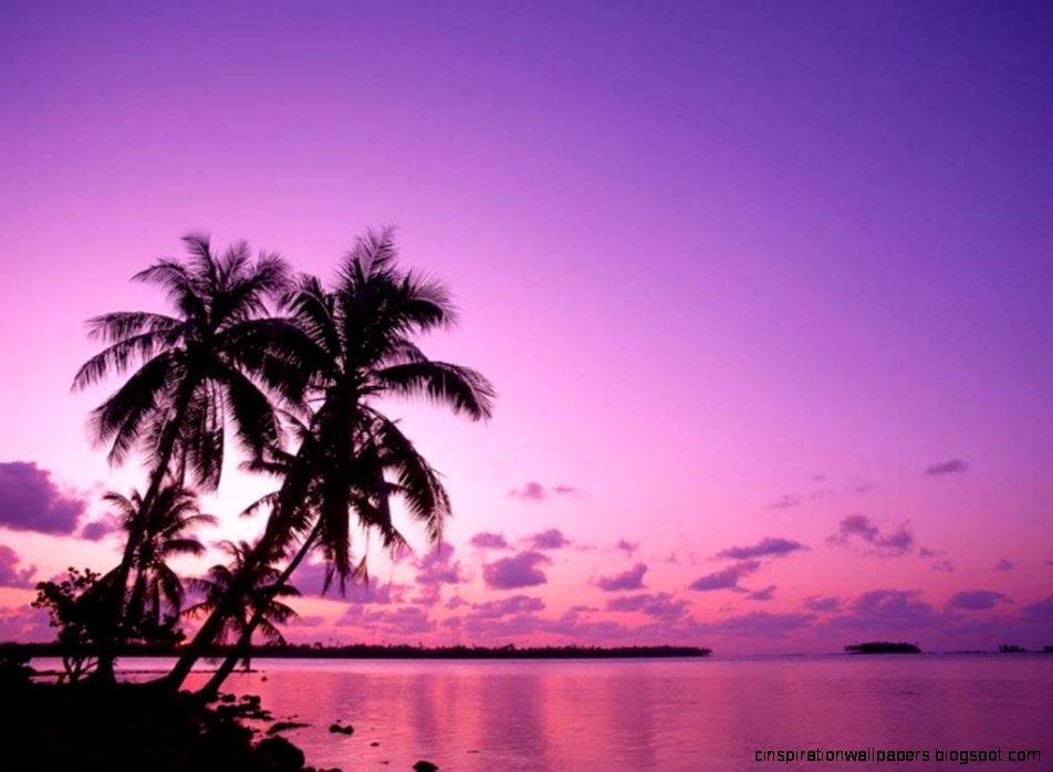 Purple Sunset Background wallpaper  1024x768  15516