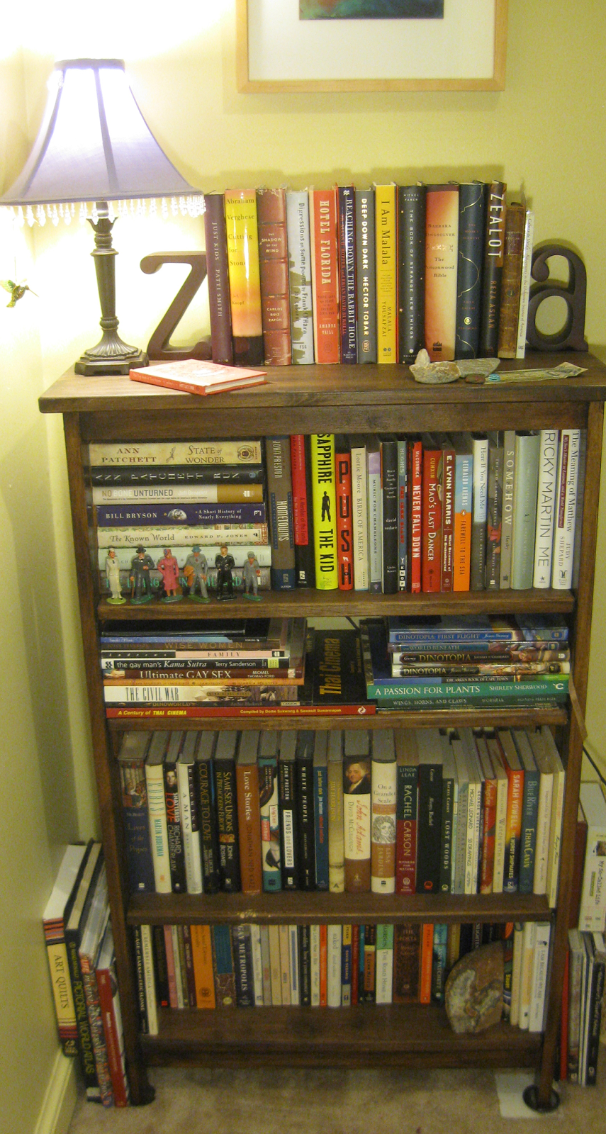 randuwa Cleaning A Book Shelf