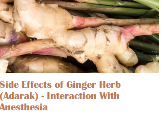 Side Effects of Ginger Herb (Adarak) - Interaction With Anesthesia