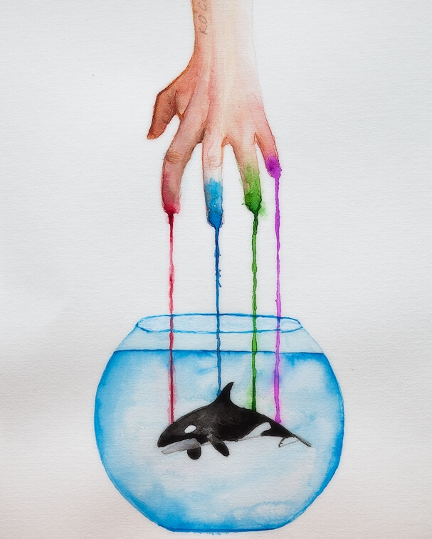 06-Killer-Whale-Orca-Kieran-O-Connor-Animal-Watercolor-Paintings-and-Pencil-Drawings-www-designstack-co