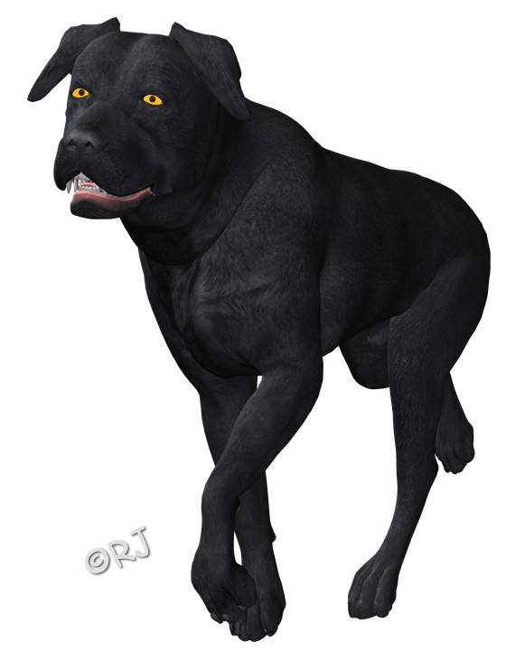 granny square dog sweater